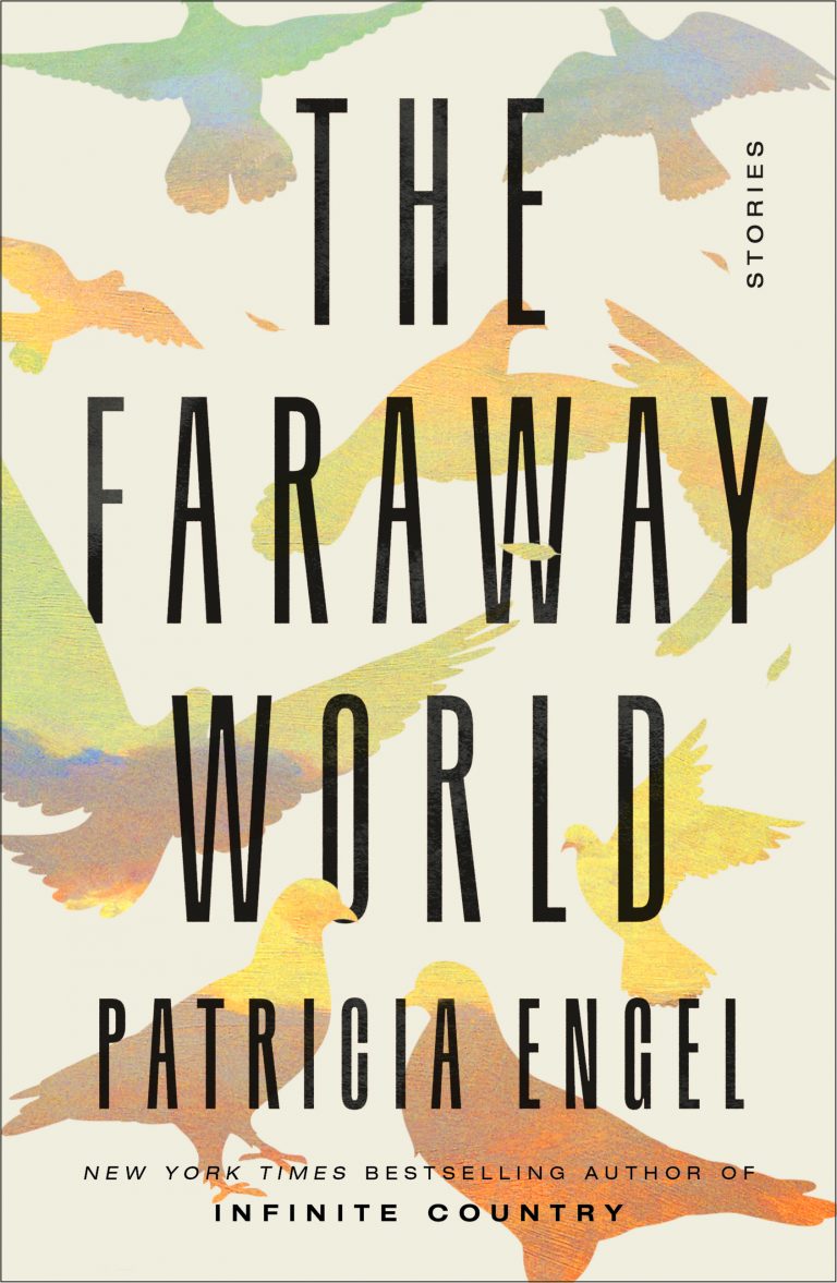 infinite country novel by patricia engel